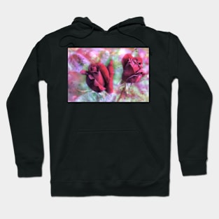 Two red roses with abstract background Hoodie